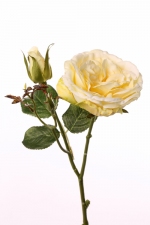 Open roos 38cm licht geel